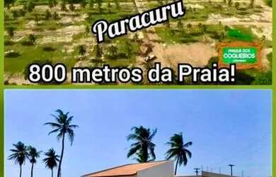 Imagem 4: Loteamento Parque dos Coqueiros em Paracuru