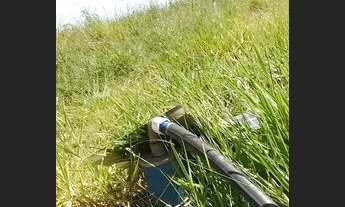 Imagem 3: Sitio em cajuru 2 alqueires 500.000.00 ( ja