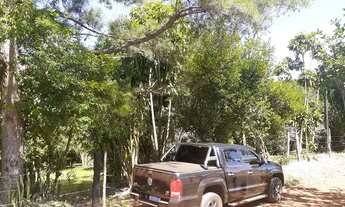 Imagem 7: Vende-se chácara 1 alqueire