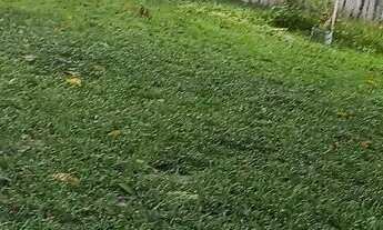 Imagem 2: Sítio Chácara com venda por R$150.000