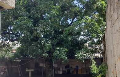 Imagem 3: Casa 04 quartos - Bairro Santa Mônica - R$ 550 mil