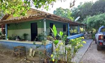 Imagem 2: Chácara de 6 hectares na Primeiro de março