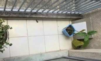 Imagem 3: APARTAMENTO - JARDIM VILA FORMOSA - SP