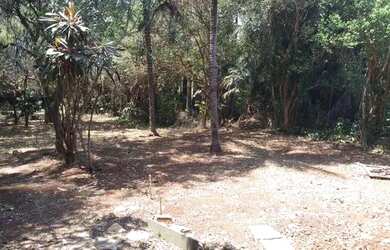 Imagem 4: área - Vila Hollândia - Campinas