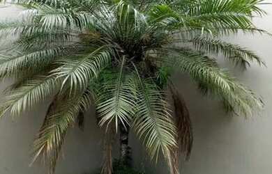 Imagem 6: Ponto-comercial-Comercio-para-Venda-em-Centro-Morretes-PR