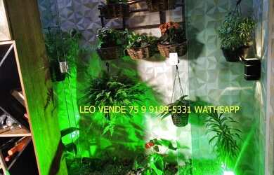 Imagem 7: Leo vende, Vila Paradiso, bairro Sim, 3
