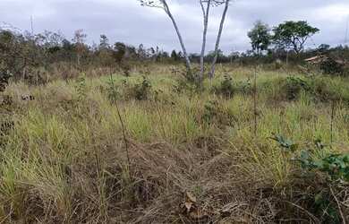 Imagem 5: Vendo Sítio com poço artesiano e casa