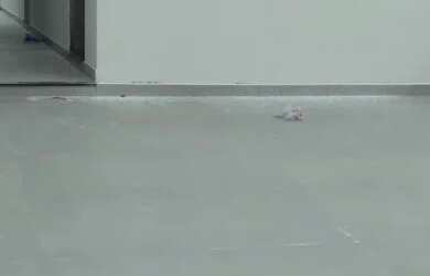 Imagem 4: Sobrados novos á partir de R$: 450 mil em Cesar de Souza