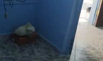 Imagem 6: Casa à venda Casa com 2 dormitórios