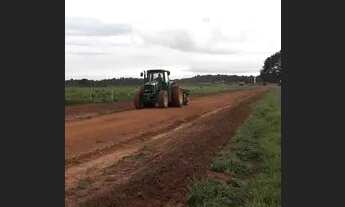 Imagem: Fazenda 915 Alq 600 Alq de Pasto planta