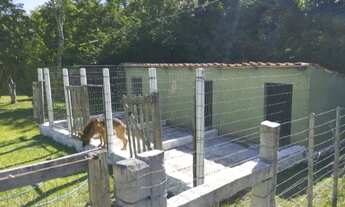 Imagem 5: Terreno 10000m2 Chácara com venda por R$420.000