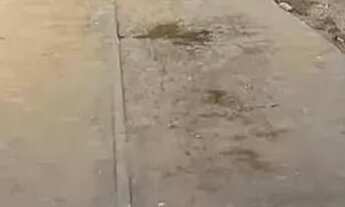 Imagem 3: More no Papagaio! Entrada a partir de R$ 20 Mil