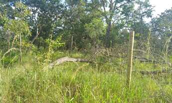 Imagem 7: Vendo terreno em três Marias