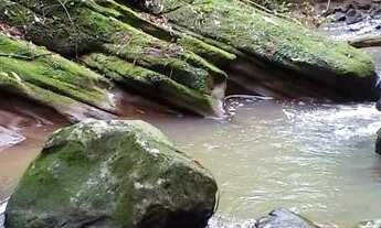 Imagem 6: Sítio valor 129,000,00 com 2 hectares e arroio