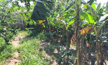 Imagem 6: Vendo casa no jardim Catarina