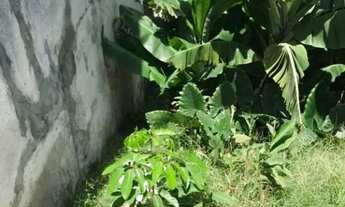 Imagem 3: Terreno à venda, 272 m² por R$ 392.200,00 - Jardim Bonfiglioli - São Paulo/SP