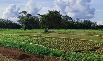 Imagem 3: Chácara em Abadia de Goiás