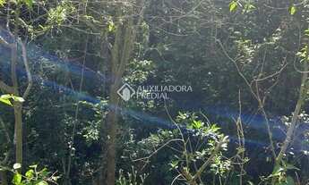 Imagem 3: Loteamento Bosque das Araucárias - Linha Imperial