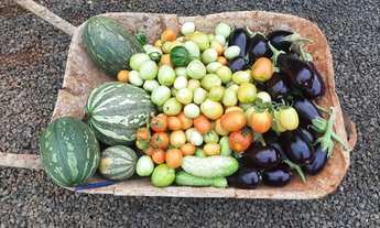 Imagem 3: Lindo rancho a venda