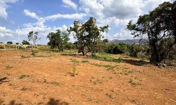 Imagem 2: Chácaras 1.000m² - Frente para o Asfalto