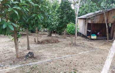 Imagem: Venda de sitio