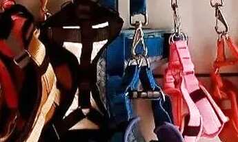 Imagem 2: Passo Pet Shop Galpão / depósito com venda por R$32.000