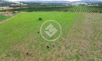 Imagem 5: Hidrolandia - Chácara de 2.2 Alqueires codigo: 158868