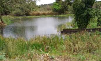 Imagem 3: 120 mil pés de café mecanizaveis ,toda infraestrutura