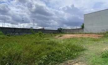 Imagem 3: Amplo Terreno Comercial de 2.400m²