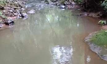 Imagem 5: Sítio valor 129,000,00 com 2 hectares e arroio