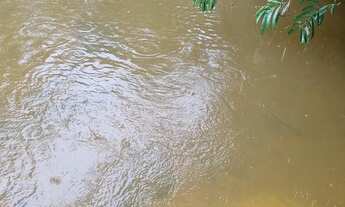 Imagem: Fazenda 158 hectares valor 1.120.000