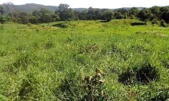 Imagem 7: Fazenda 1541 Hectares Para Pecuária Com Ótimo Acesso - Acorizal/MT