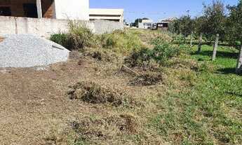 Imagem: Terreno no gravata 1
