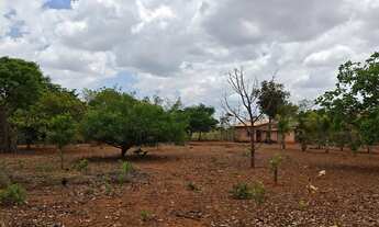 Imagem 3: Chácara 5.000M2 na Região de Glaucilândia