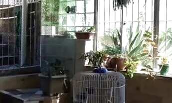 Imagem 4: Casa em Ipanema Casa com 3 dormitórios