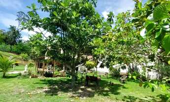 Imagem 6: Imóvel para venda tem 3.000 metros quadrados com 5 quartos