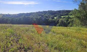 Imagem 3: Chácara 7 Alqueires em Campo Magro Ideal para Plantio e Lazer