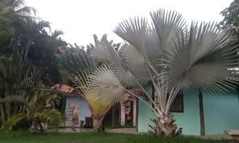 Imagem 2: Aluguel carnaval