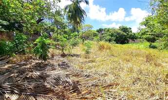 Imagem 7: Terreno à venda em Centro - AL