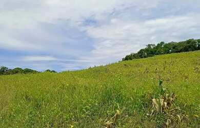 Imagem: Excelente Terreno em Ibiúna Região Tranquila