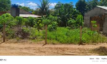 Imagem 7: Vendo casa em bom jardim nobres MT