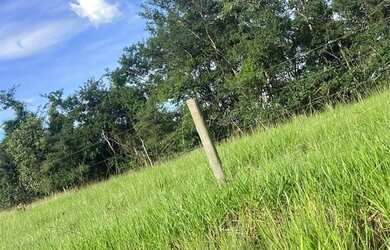 Imagem 7: Fazenda campina verde