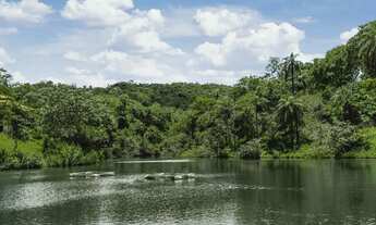 Imagem: Terrenos de 20.000m2 em Condomínio Excelente