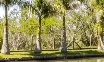 Imagem 4: CAUE IMOVEIS VENDE Belíssima Sítio de 4000m2 em Águas Claras ViamãoRS!!!