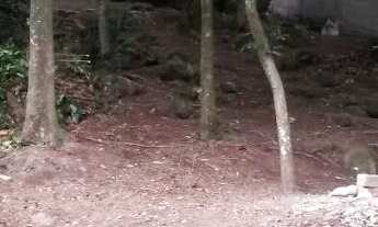 Imagem 2: Imóvel para venda tem 1310 metros quadrados em Camorim - Rio de Janeiro - RJ