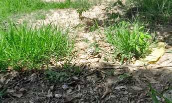 Imagem 4: Lote Terreno / lote com venda por R$15.000