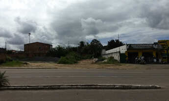 Imagem 4: Pojuca - Terreno de frente à BA 420