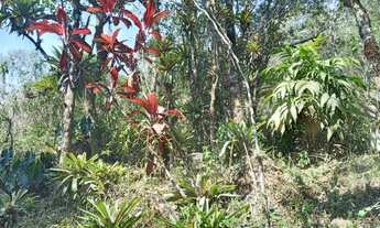 Imagem 6: Fazenda do Rio Grande