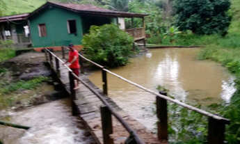 Imagem 3: FAZENDA BR. 101 ITAMARATI / IBIRATAIA. 149 HA. 73 9 9950 0058 ZAP. EDSON