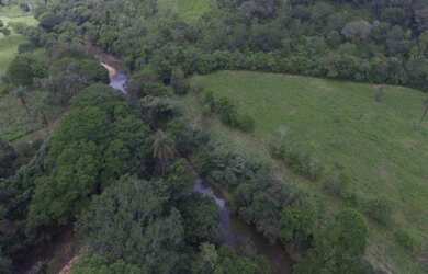 Imagem 6: Linda fazendinha de 5,6 hectares as margens do Rio,Jaboticatubas (Temos varias opções)